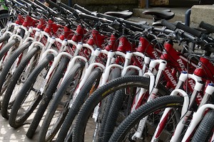 Incentive Avignon Événementiel - Randonnée Vélo électrique