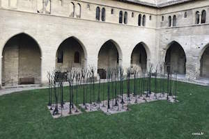 Incentive Avignon Événementiel - Visiter L'intérieur Du Palais Des Papes