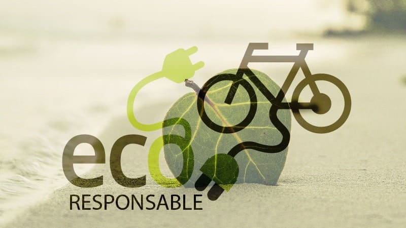 entreprise un événement éco-responsable - activités de team building vertes eco friendly