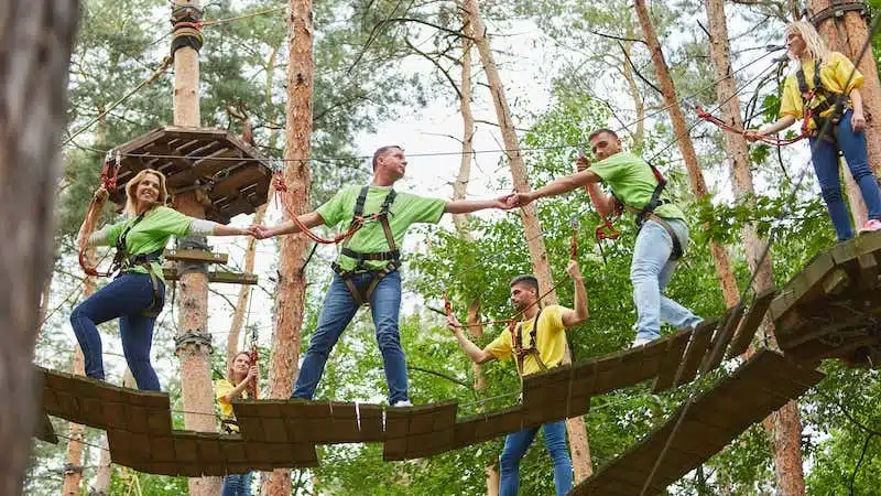 Idées Séminaire au Vert - Parcours dans les arbres en équipe